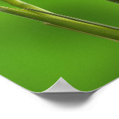 Iris Flowers Poster (Hoek)