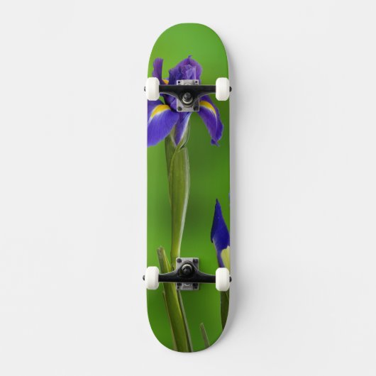 Iris Flowers Skateboard (Voorkant)