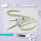 Iris Foliosa van William Dykes Tissuepapier (Craft)