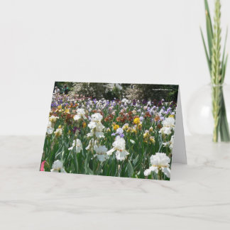 Iris Garden - Fijne verjaardag! Kaart