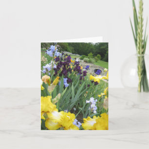Iris Garden Kleine Blank Note Kaart