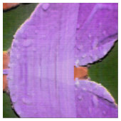 Iris Garden..... Stof (Close Up)