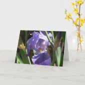 Iris Garden Wenskaart Kaart (Gele Bloem)