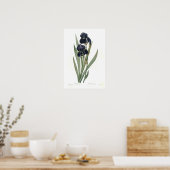 Iris germanica poster (Keuken)