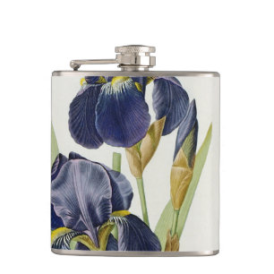 Iris Germanica uit "Les Liliacees", 1805 Heupfles