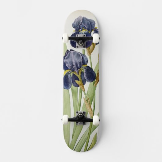 Iris Germanica uit "Les Liliacees", 1805 Skateboard (Voorkant)