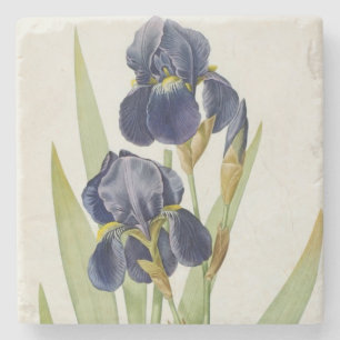 Iris Germanica uit "Les Liliacees", 1805 Stenen Onderzetter