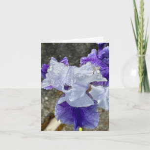 Iris in de dauw bedankkaart