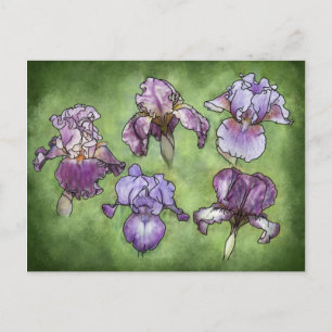 Iris in het Paars Briefkaart