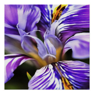 Iris in Violet Lila en Paarse botanische kunst Perfect Poster