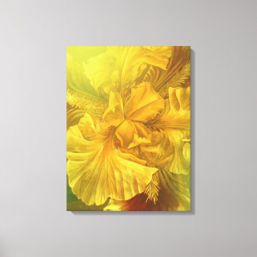 Iris inwendige schoonheid, warm geel tekencanvas a canvas afdruk (Voorkant)