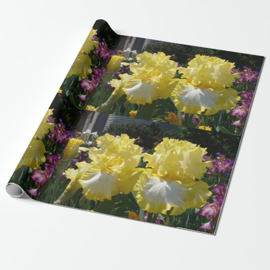 Iris iris bloemen Geel Witte bloemperen Cadeaupapier (Uitgerold)