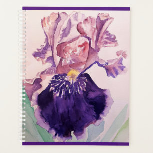 Iris iris glorieux violet fleurs d'aquarelle Art