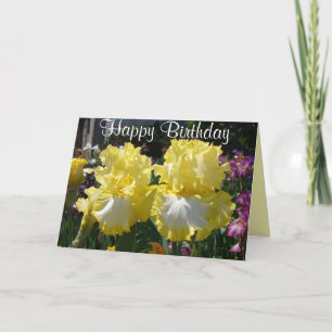 Iris irises floral Flowers Yellow Beared Flower C Kaart