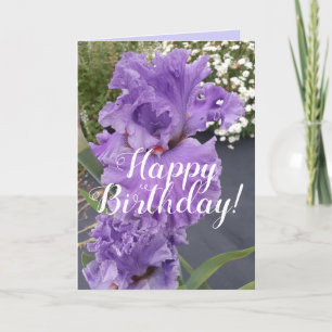 Iris Irisis Paars Flower Floral Birthday Kaart