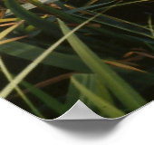 Iris, Japanse tuinen Poster (Hoek)