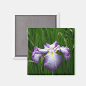 Iris japonais : Japan Magnet (Recto/Verso)