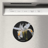 Iris Japonica in de kijker Magneet (Insitu (Vaatwasser))