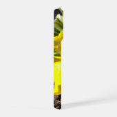 Iris jaune vif, (Côté droit)