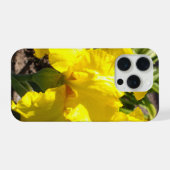 Iris jaune vif, (Verso Horizontal)