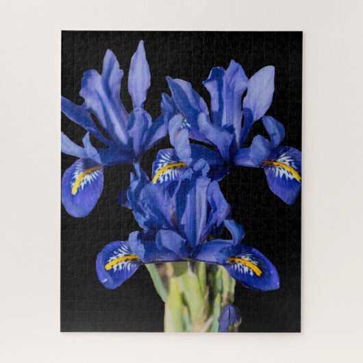 Iris Jigsaw Puzzel (Verticaal)