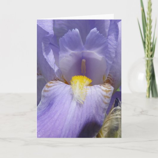 Iris Kaart (Voorkant)