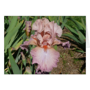 IRIS KAART PASTEL - Blanco kaart