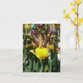 IRIS KAART - PIPER MAY - Blank Note Kaart (Gele Bloem)