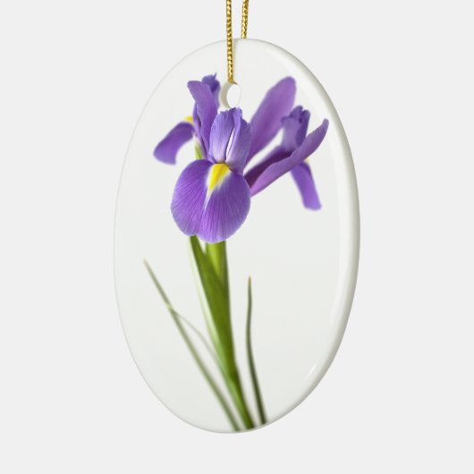 Iris Keramisch Ornament (Links)