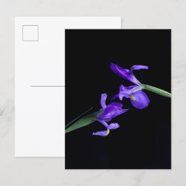 Iris Lovers Briefkaart