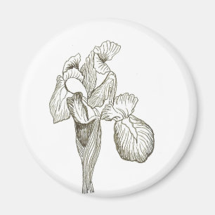 Iris Magneet