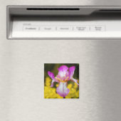 Iris Magneet (Insitu (Vaatwasser))