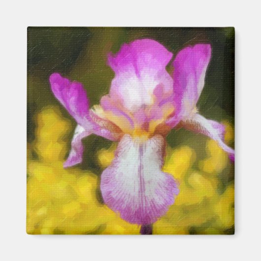 Iris Magneet (Voorkant)