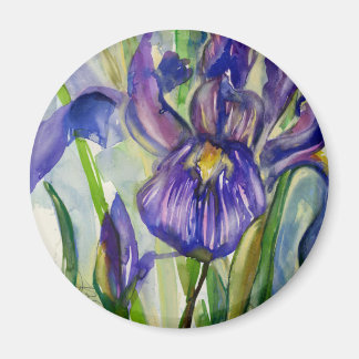 Iris Magneet