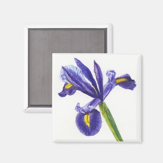 Iris Magnet (Recto/Verso)