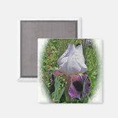 Iris Magnet Magneet (Voorkant / Achterkant)