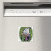 Iris Magnet Magneet (Insitu (Vaatwasser))