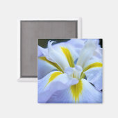 Iris Magnet Magneet (Voorkant / Achterkant)