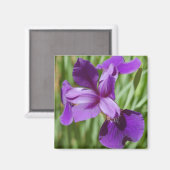 Iris Magnet Magneet (Voorkant / Achterkant)