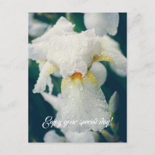 Iris met waterdruppeltjes briefkaart