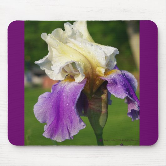 Iris Mousepad Muismat (Voorkant)