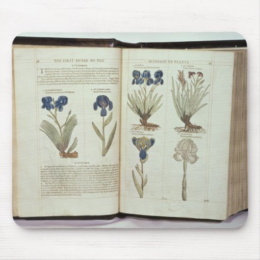 Iris Muismat (Voorkant)