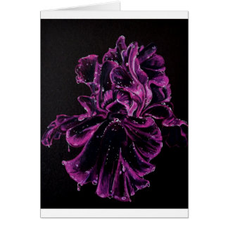 Iris noir