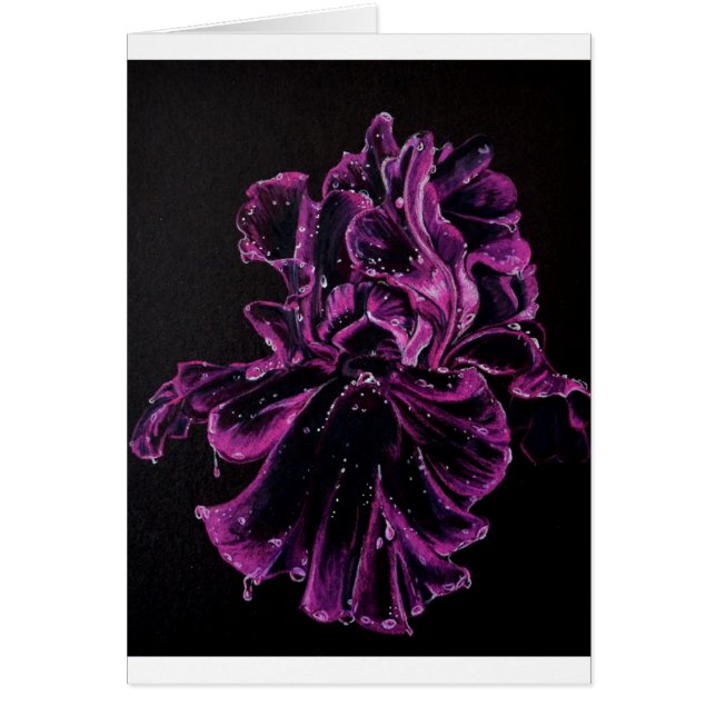 Iris noir (Devant)