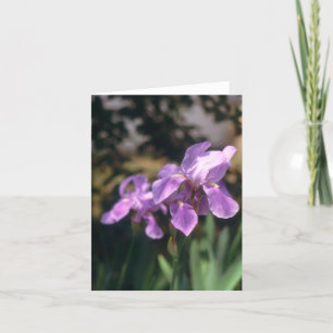 Iris Notecard Kaart
