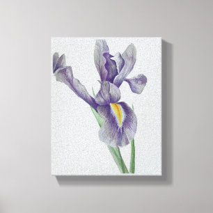 Iris opgerekt canvasprint canvas afdruk