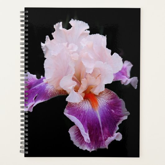Iris Planner (Voorkant)