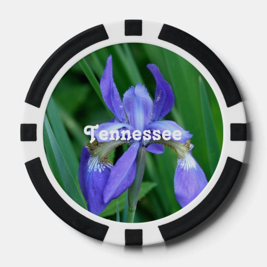 Iris Pokerchips (Voorkant)