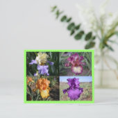 Iris Post Kaart (Staand voorkant)