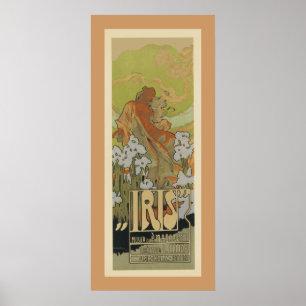 Iris Poster